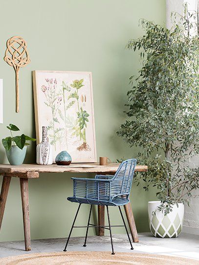 Haymes Paint