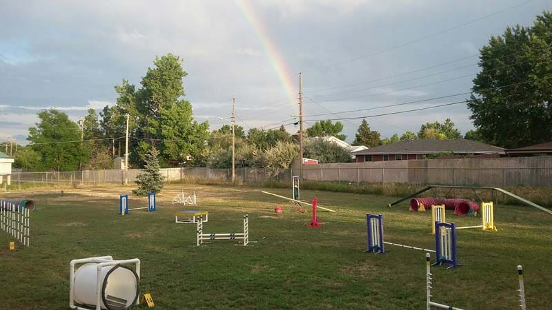 Dog Training Field - Dog agility training in Lakewood CO