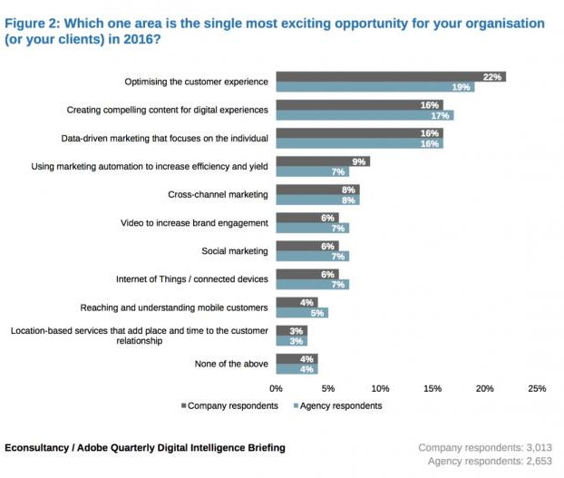 A graph showing which one area is the single most exciting opportunity for your organization
