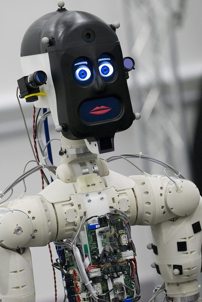 Bert robot