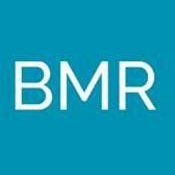 Logo Bristol Maritime Robotics