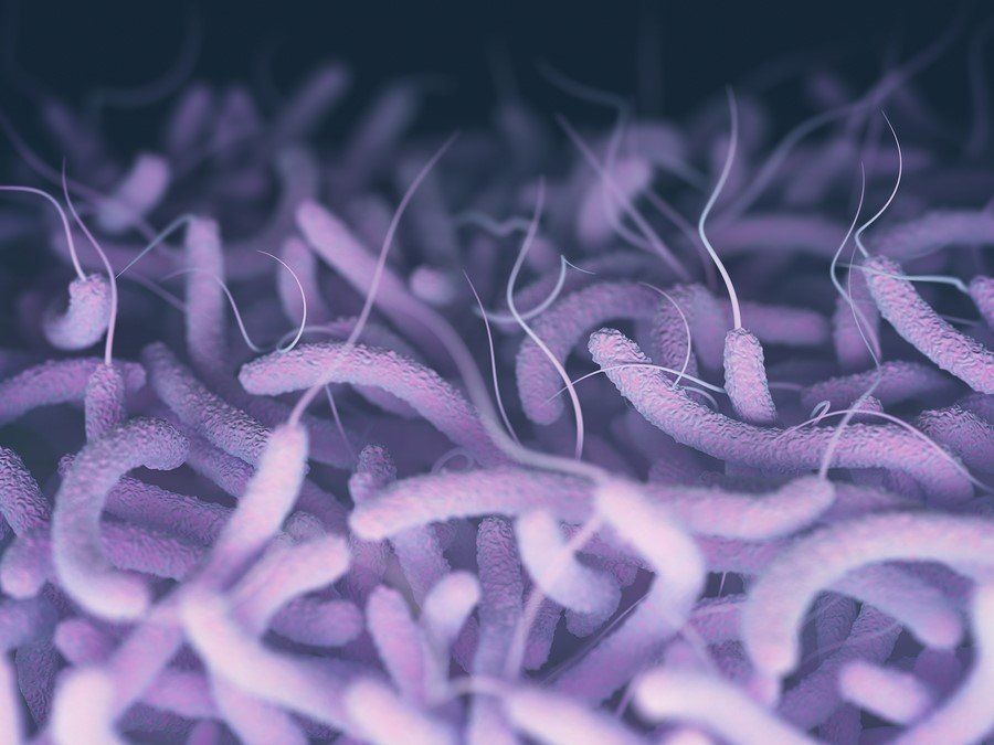 Bacterialbots