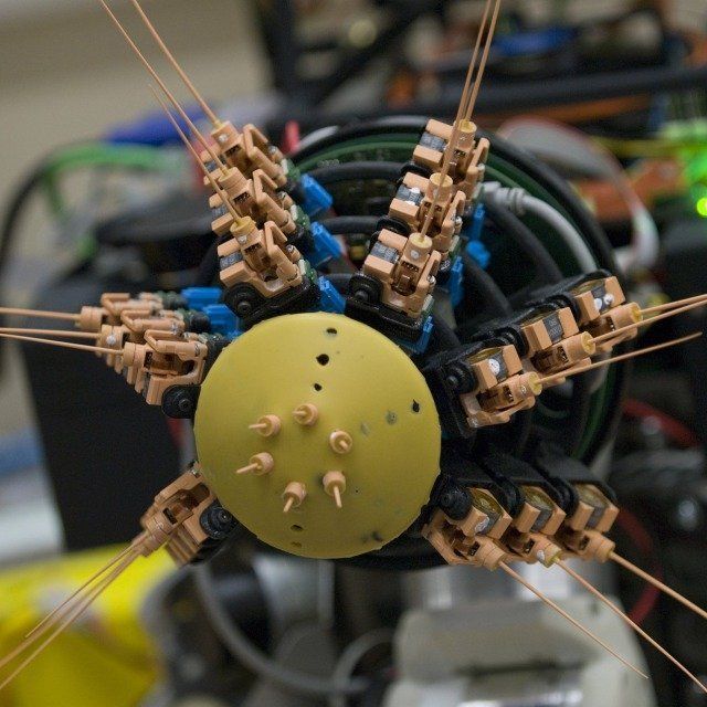 Biomimetic and Neuro-robotics
