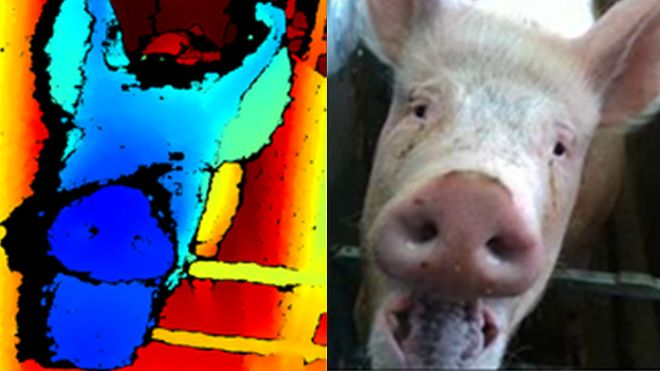 Face Recognition