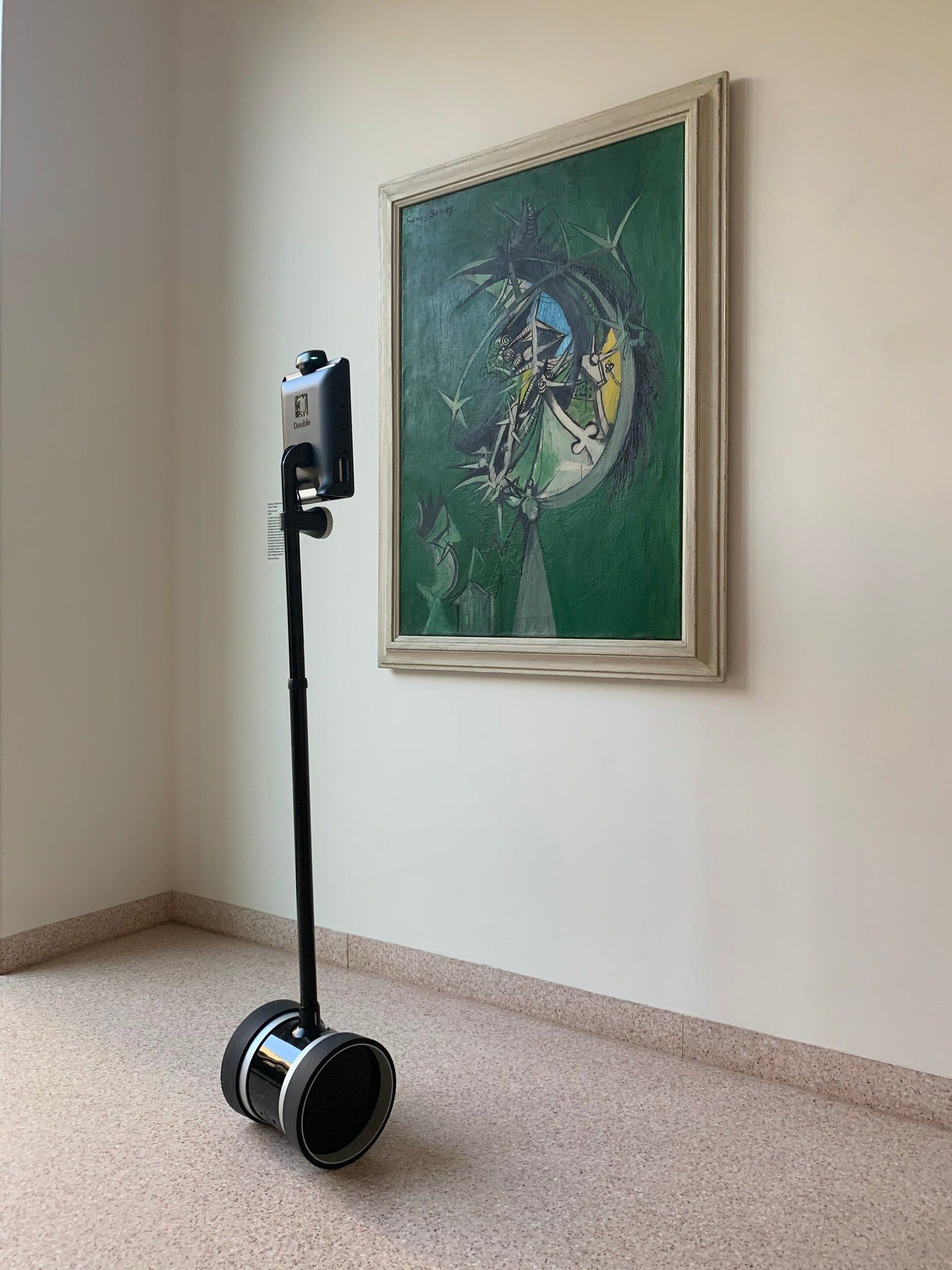 Pepper Robot