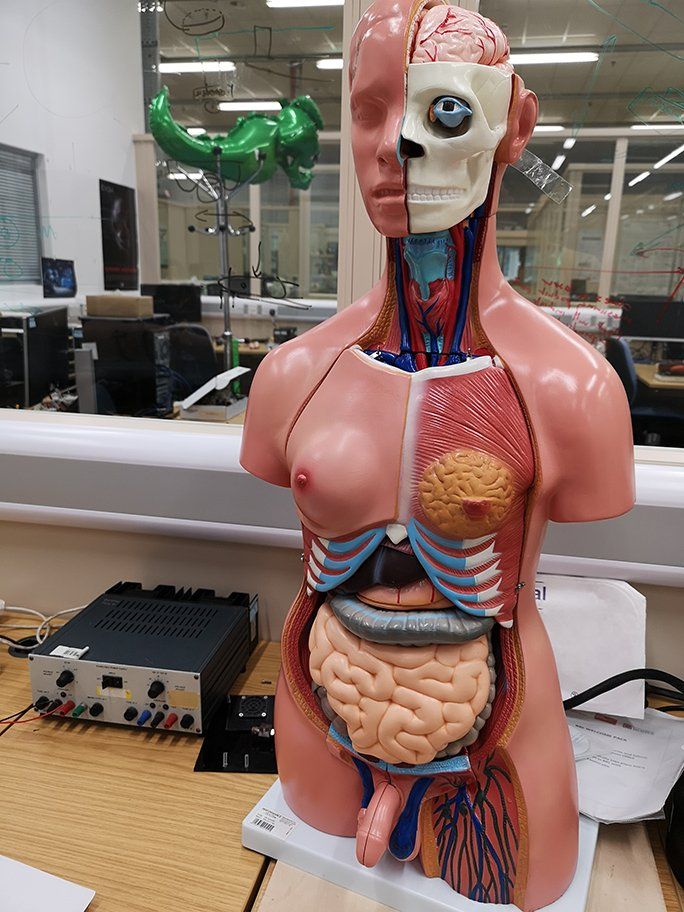 Medical Robotics