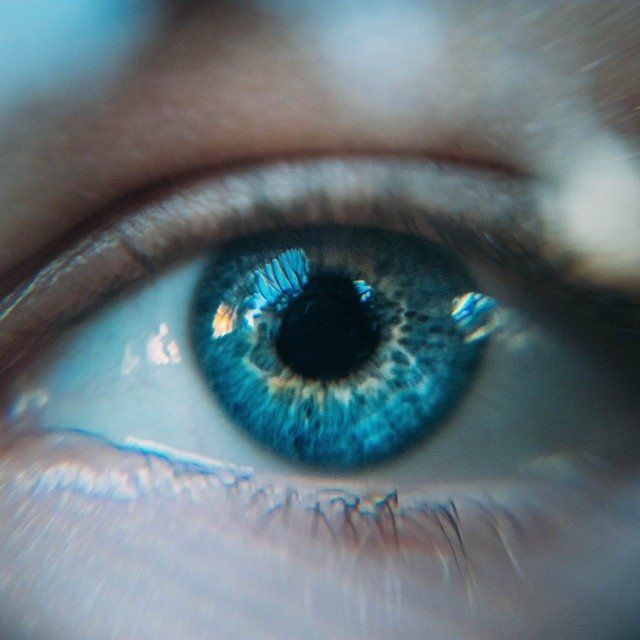 Robot Vision