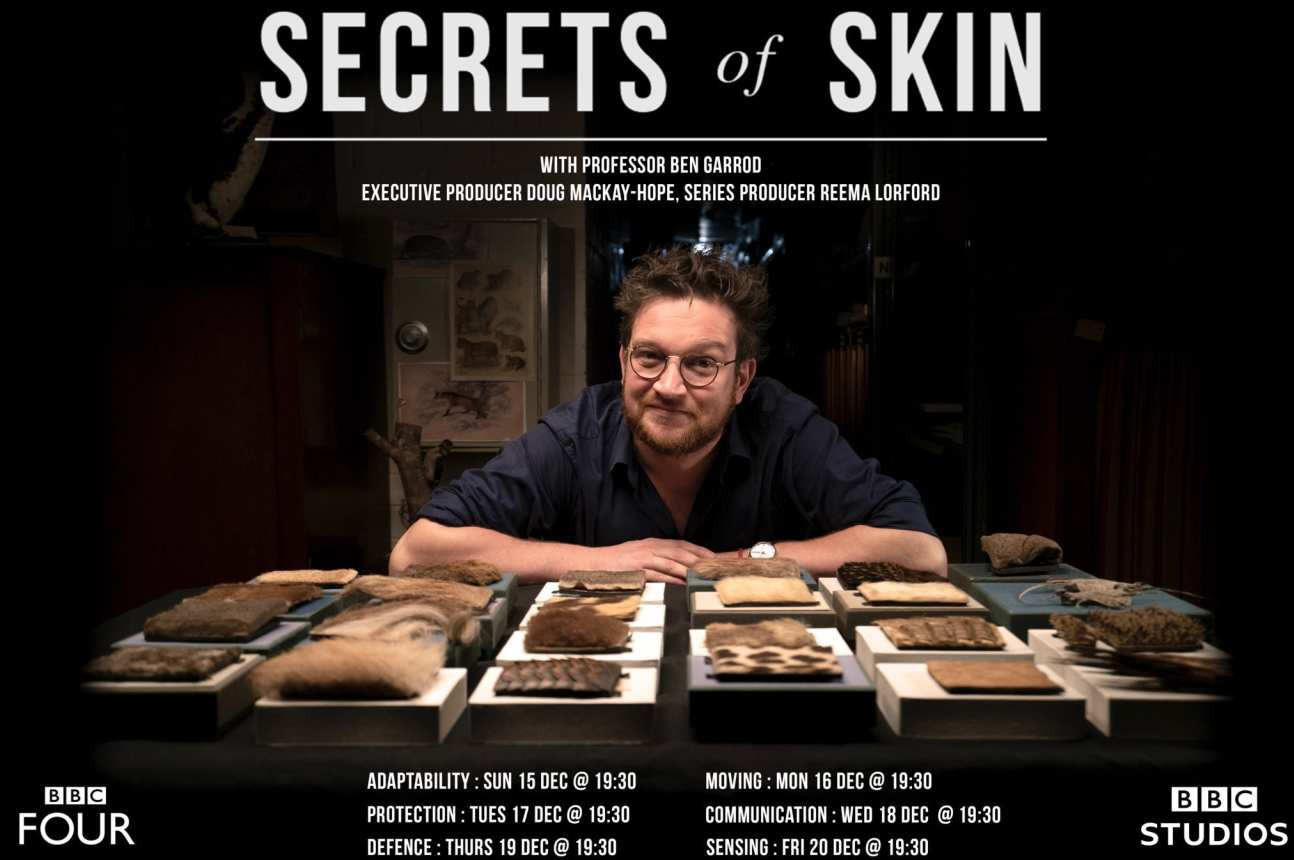 Secrets of Skin