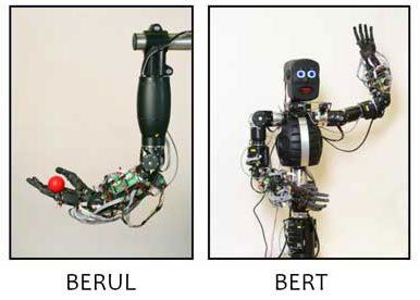 Berul and Bert