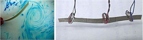Swimming Robots