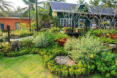 Shrubbery Trimming & Cutting