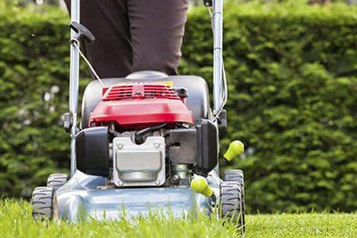 lawn maintenance
