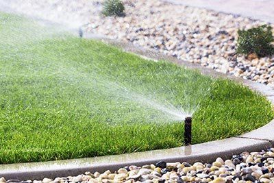 sprinkler irrigation