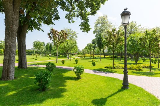 Manutenzione di giardini