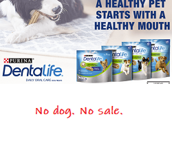 badly targeted ad example
