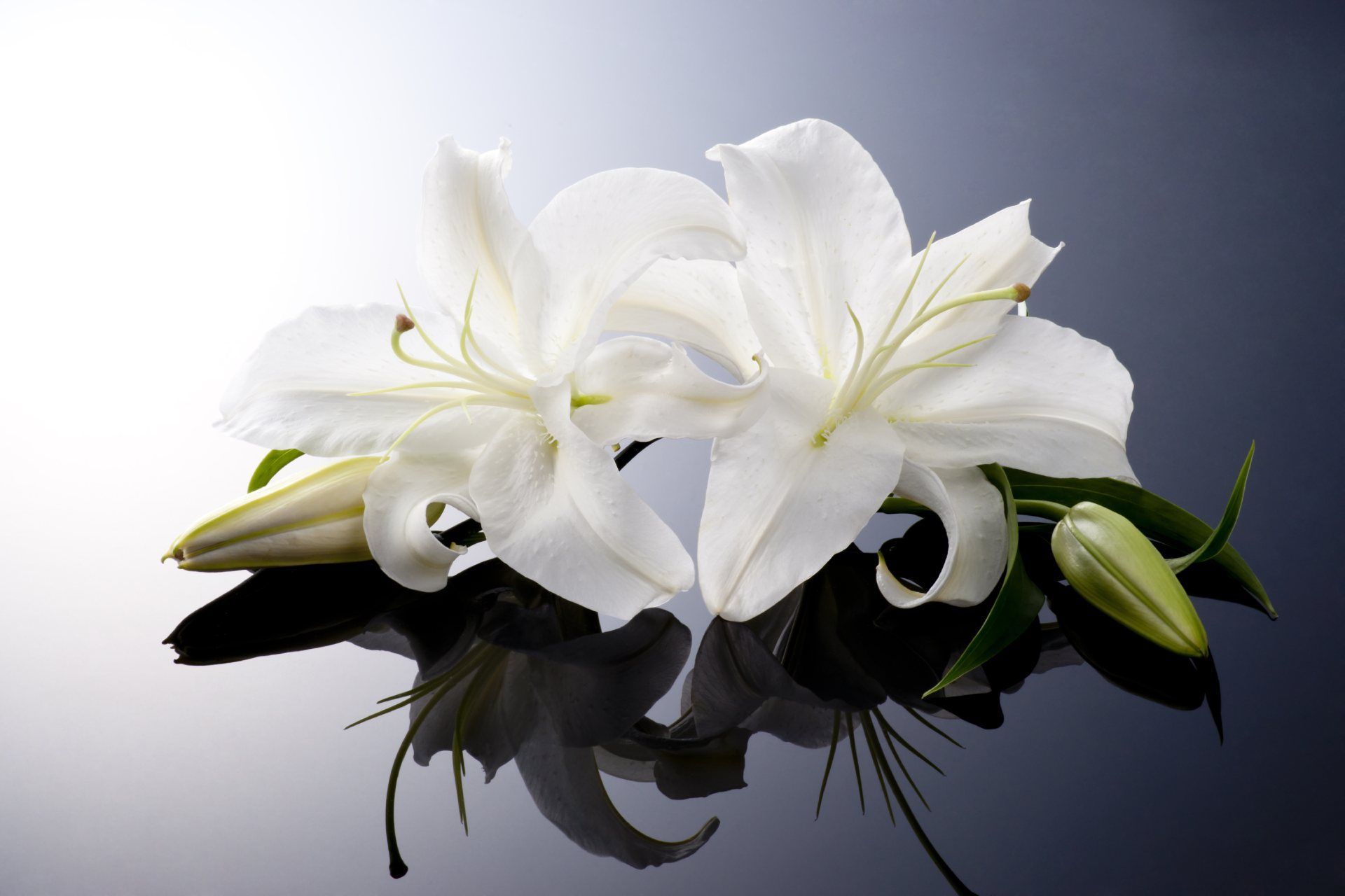addobbo funebre floreale