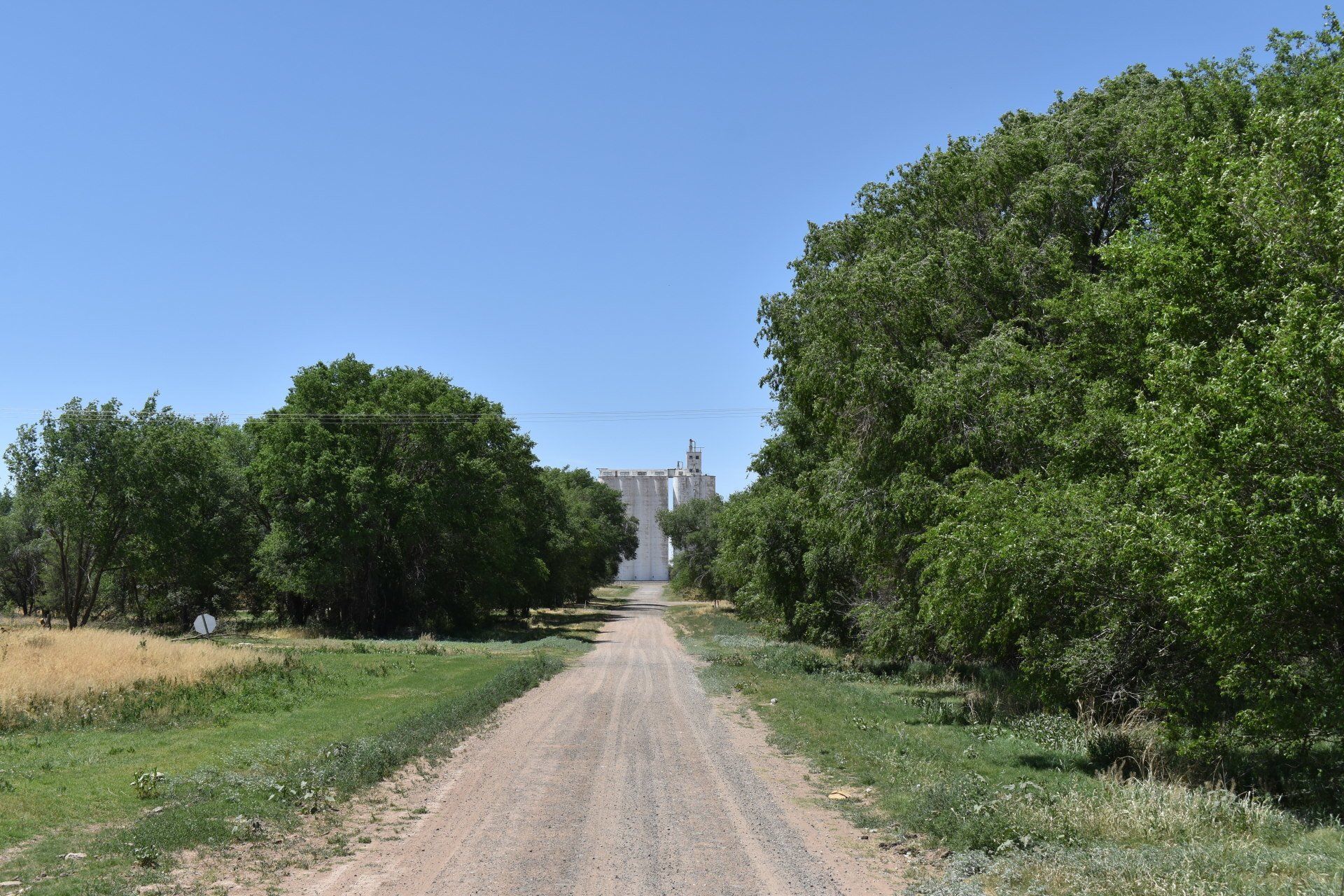 A dirt road going through a field with trees on both sides