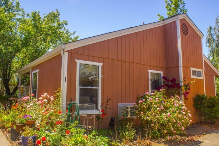 Redwood Meadows