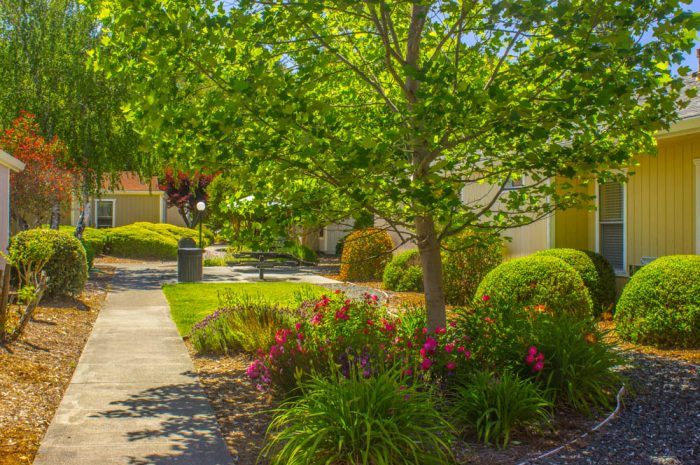Redwood Meadows