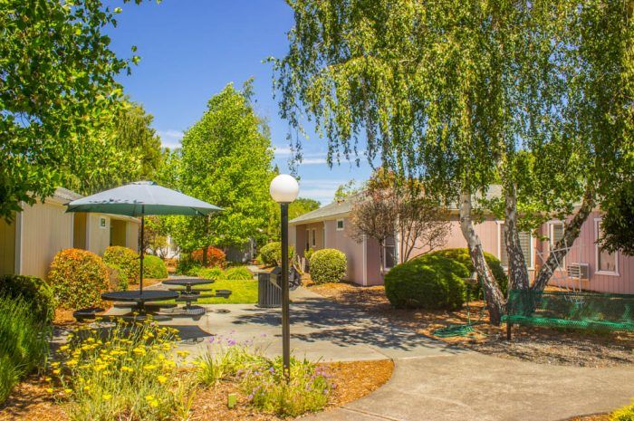 Redwood Meadows