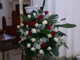 rose rosse rose rosse