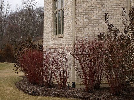 custom landscape design
