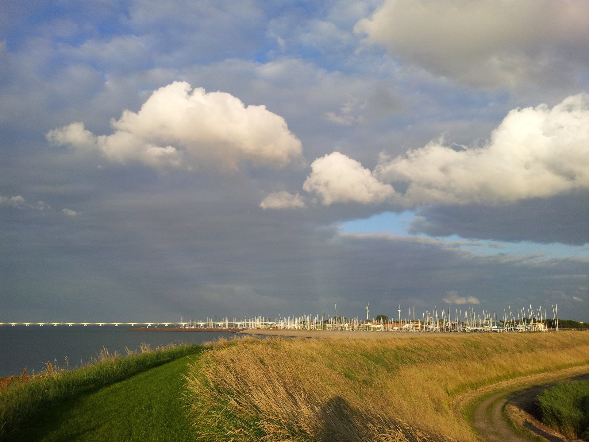 Colijnsplaat, parel aan de Oosterschelde activiteiten, organisatie, evenementen, avontuurlijk, zeeland, colijnsplaat, Zierikzee, domburg, nationaal park Oosterschelde, evenementen, privégids, gids, toeringcar, toeren, bezichtigen, gezellig, groepsuitje, chalets, huis huren, vakantie, caravan, familiedag, bedrijfsuitje, zeeland, bed-and-breakfast, kamer-met-ontbijt, zeelandbrug, neeltje-jans, deltawerken, goes, middelburg, veere, zierikzee, duiken, fietsverhuur, zwemmen, strand, wandelen, fietsen, nationaal-park-oosterschelde, noordzee, noordzee-strand, aan-het-water, surfen, kunst, sfeervol, intiem, noord-beveland, rustig, landelijk, bos, restaurant, domburg, oost-kapelle, supermarkt, wandelen, lopen, fietsroutes, wandelroutes, kamperland, camping, kats, wissenkerke, kortgene, oosterschelde, nationaalpark, nationaal park, activiteiten, nehalennia-tempel, nehalennia, colijnsplaat, rust, ruimte, duinen, kust, zeilen, jachthaven, visserij-haven, watersport, vissen, rondvaart, rondje-pontje, slapen, bedandbreakfast, groepsaccommodatie, groepsacomodatie, groepsaccomodatie, vakantiewoning, vakantieverblijf, groepshuis, weekendje-weg, waarnaartoe, vvv-zeeland, appartement, ontbijt, aan-de-kust, blof, concert-at-sea, nazomer-festival, ride-for-the-roses, uitwaaien, eiland, leuke, monumenten, delta, varen, goedkoop, domburg, zeehonden, safari, zee hond, rondvaarten, bruinvissen, ganuenta, cultuur, toerisme, recreatie, educatie, evenementen, privé gids, toeren, auto, busuitje, tourguide, noordzee, organisatie, bedrijfsuitjes, nehalennia, godin, rondleiding, nehallennia, nehallenia, Godin, informatie, oogstfeest, gemeente, noordbeveland, noord, beveland, noord-beveland, privé gids, tour guide, bus, auto, sight-seeing, gids, familie, bijzonder, eigen, zee, noordzee, bio-energetica, coaching, coach, bewegen, lichaamswerk, oogstfeest, nehalenniatempel, tempel, romeinen, kelten, romeins, keltisch, workshops, arrangementen, aanbiedingen,