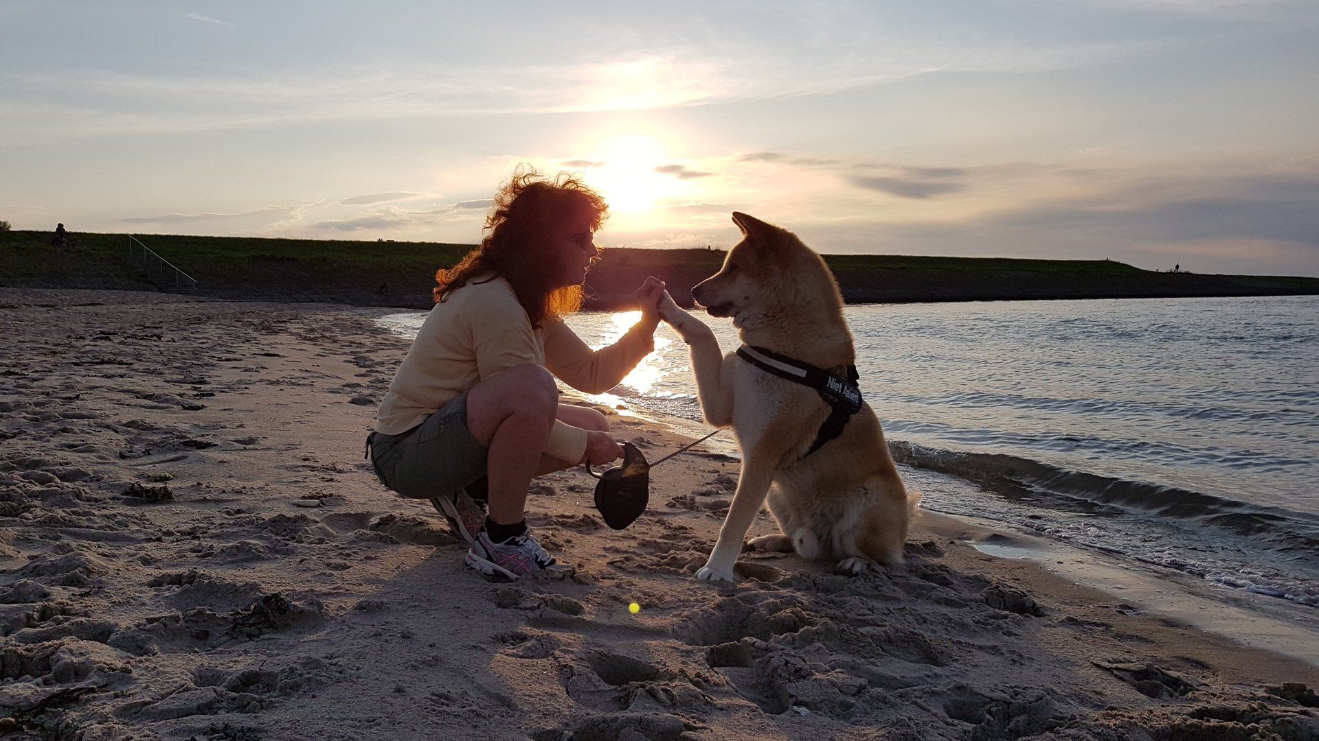 Irma Bolijn met haar Akita Hoochi Akita, spiegel van de ziel, hond, trauma, energetica,