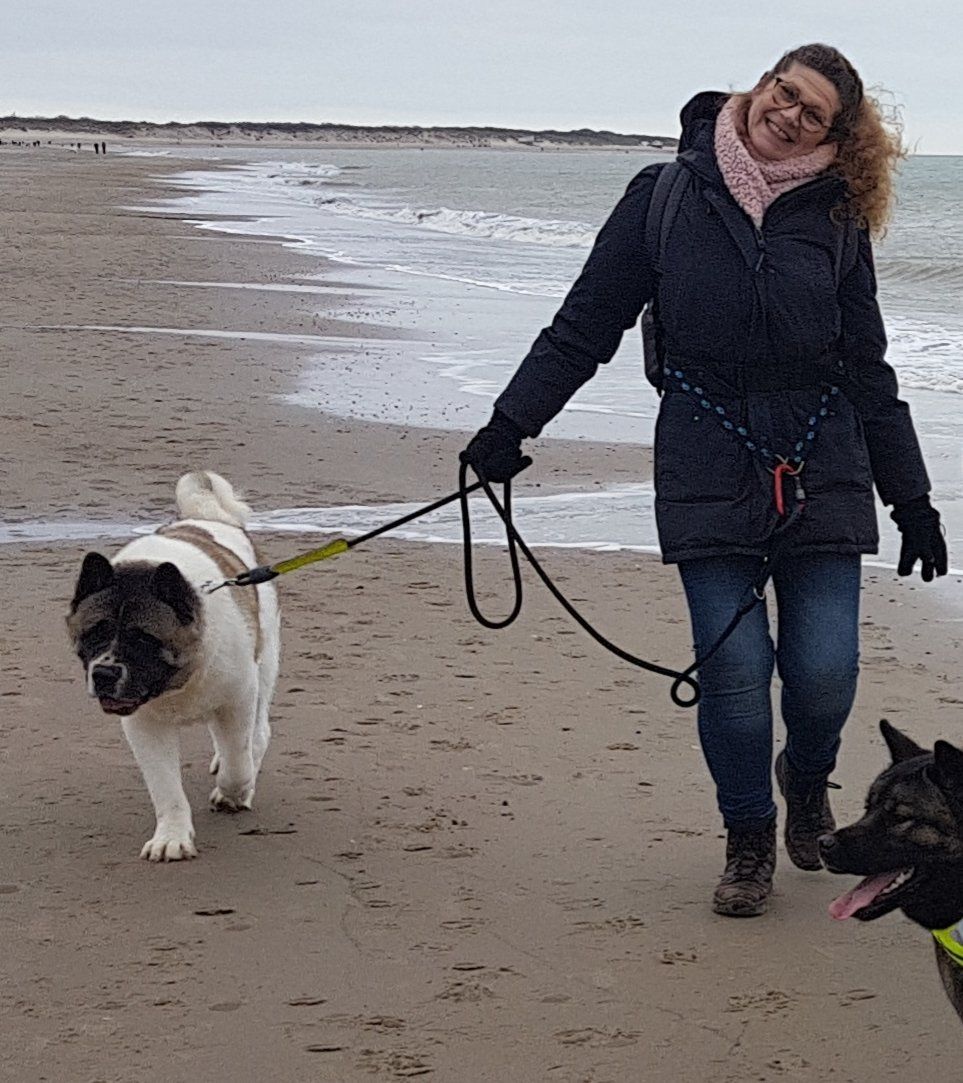 Begeleiding, bijtincident, akita, american akita, shiba, oerras,  spiegelen, spiegel, gedragdeskundige, akita energetica