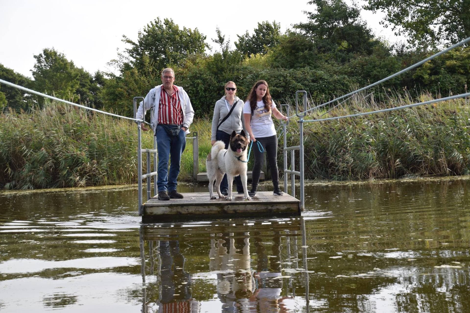 Tijdens de wandeling is het trekpontje natuurlijk een attractie Akitadag Colijnsplaat Workshops Lezingen Akita Spiegel van de Ziel
