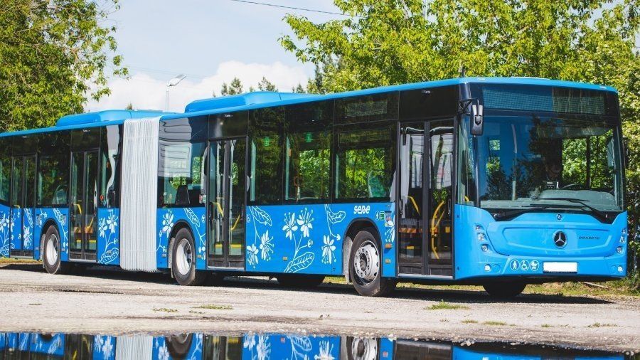 Pärnu linnaliinid