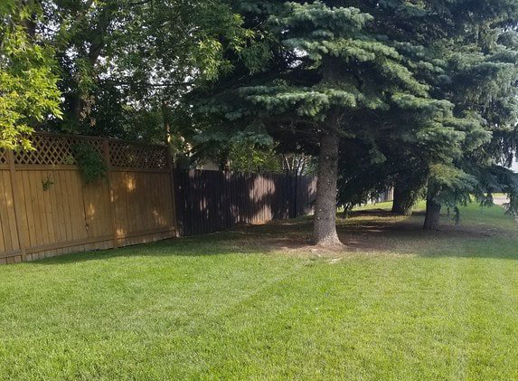 A yard with a wooden fence and trees in the background.