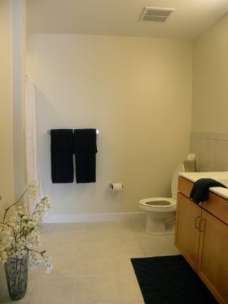 Faison Residence Bathroom