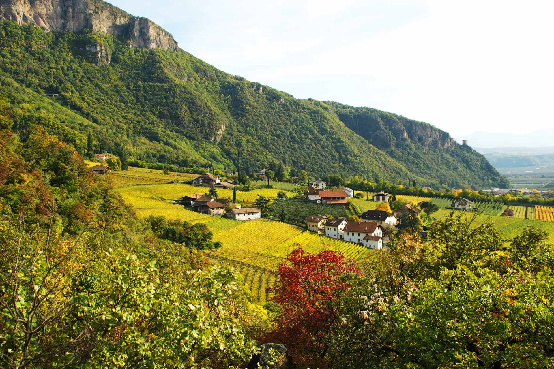 Terlano Alto Adige