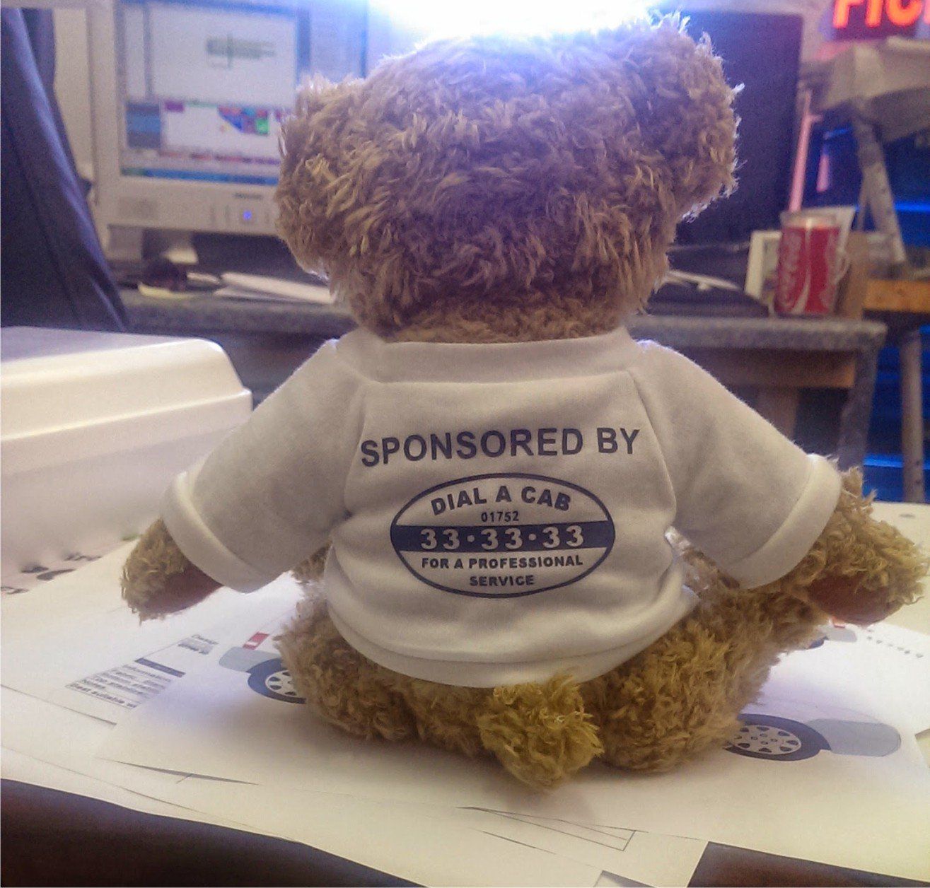 teddy clothes
