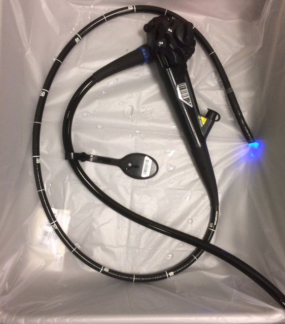 Paediatric endoscopy and colonoscopy