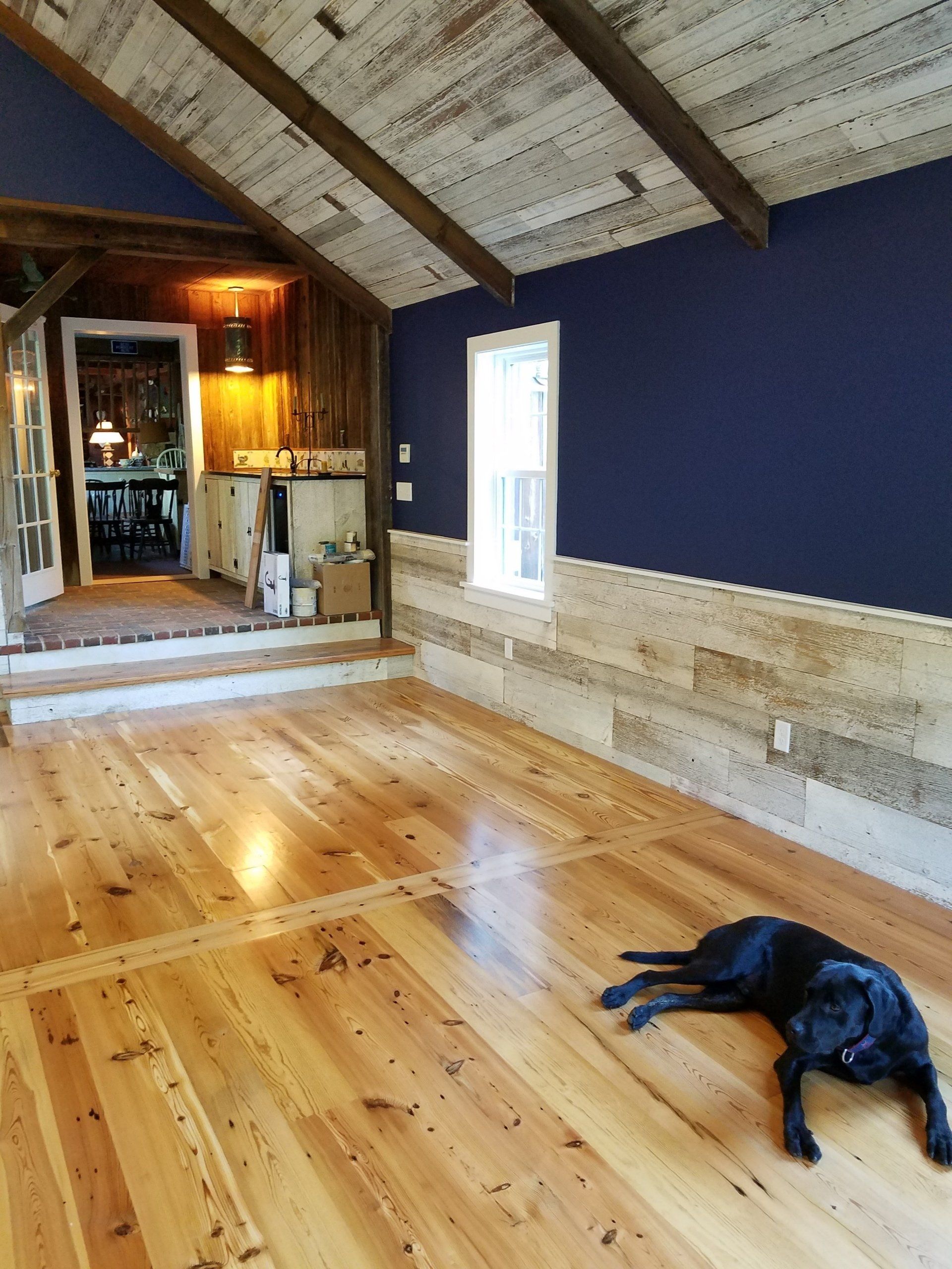 Room with wood flooring, paneled walls, and a blue wall. Black dog rests on the floor.