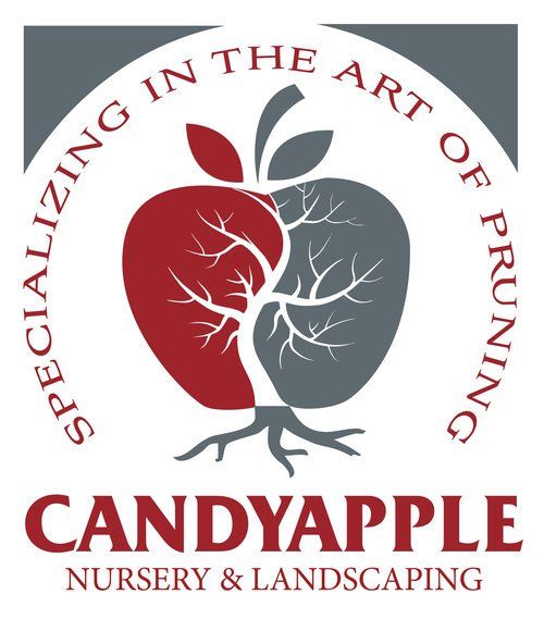 Logo for CandyApple Nursery & Landscaping: Apple graphic split red and gray with tree design, surrounded by text.