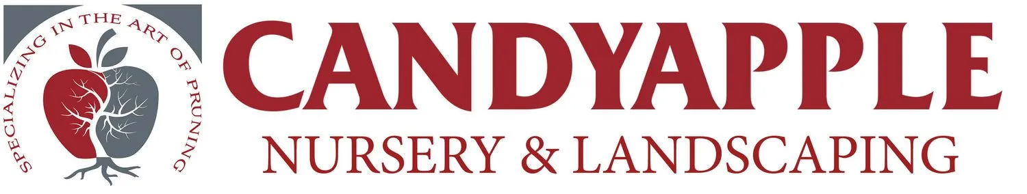 Candyapple Nursery & Landscaping logo featuring a red and grey apple design and text.