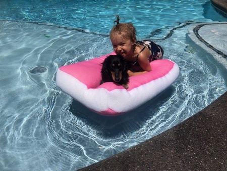 A young child and a dachshund dog on a pink inflatable float in a pool.