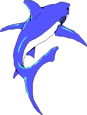 Blue shark, angled view, leaping upward, with white underbelly.