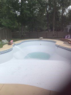 Empty, white pool with blue tile trim. Trees and fence in the background.