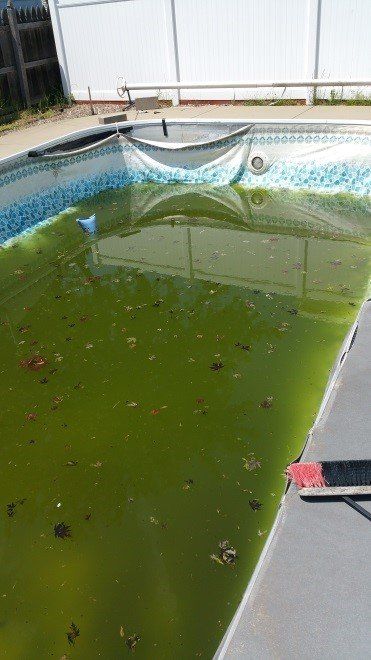 A murky green swimming pool filled with algae and debris.