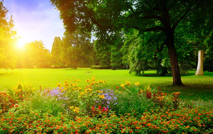 Landscape Design With Colorful Flowers — St. Louis, MO — County Tree Service Landscape Design With Colorful Flowers — St. Louis, MO — County Tree Service