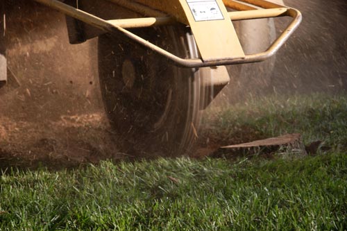 Maintaining the Landscape to Look Much Better — St. Louis, MO — County Tree Service Maintaining the Landscape to Look Much Better — St. Louis, MO — County Tree Service