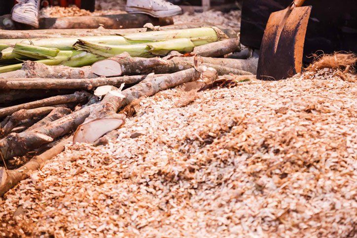 Ground Shredded Chipped Wood Chips — St. Louis, MO — County Tree Service A shovel rests in a pile of wood shavings next to stacked logs on the ground.