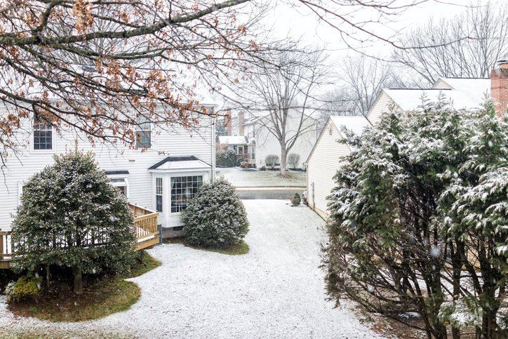 Trees on the Winter Season — St. Louis, MO — County Tree Service