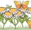 Sezione primavera