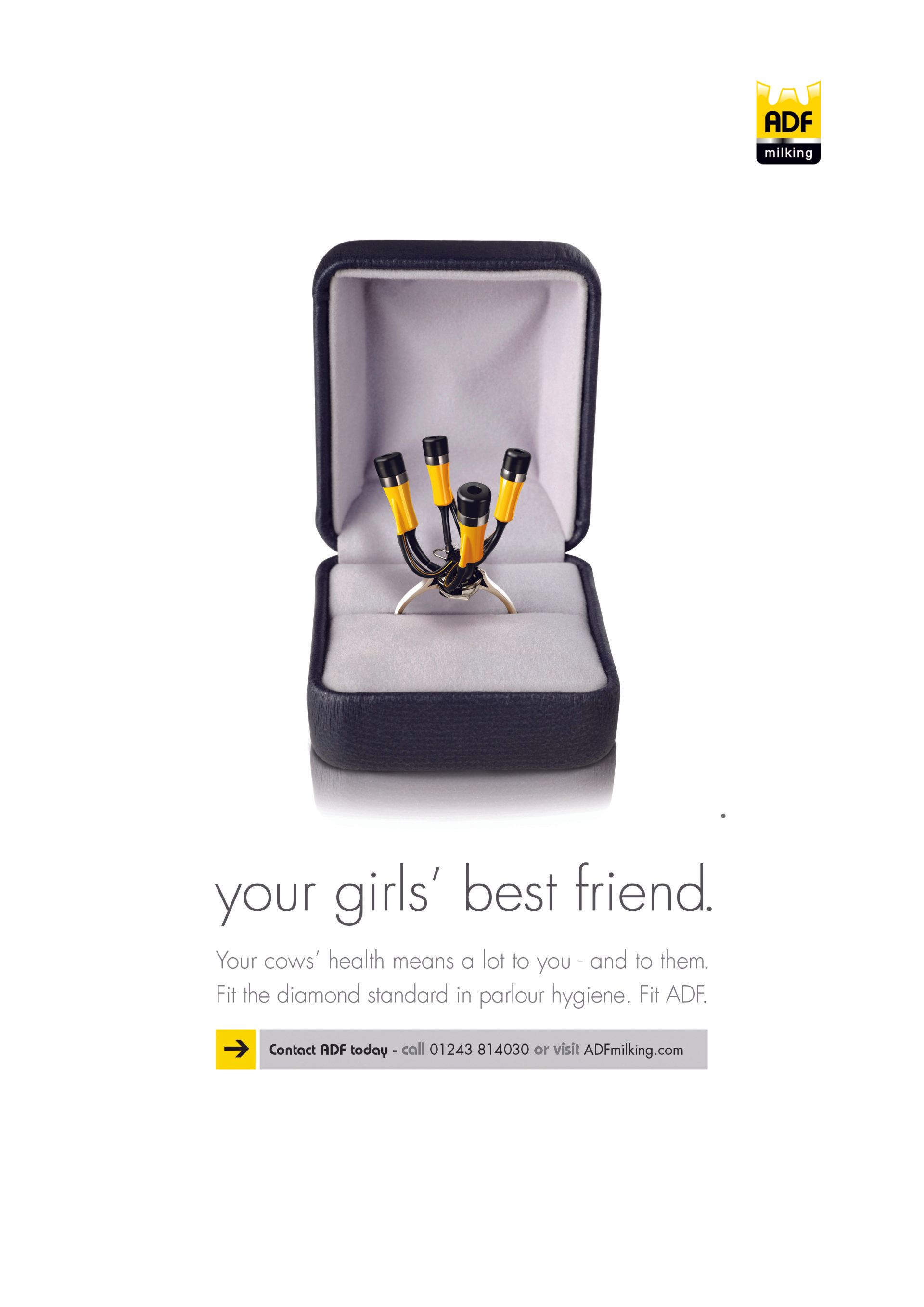 A ring in a box that says your girls best friend