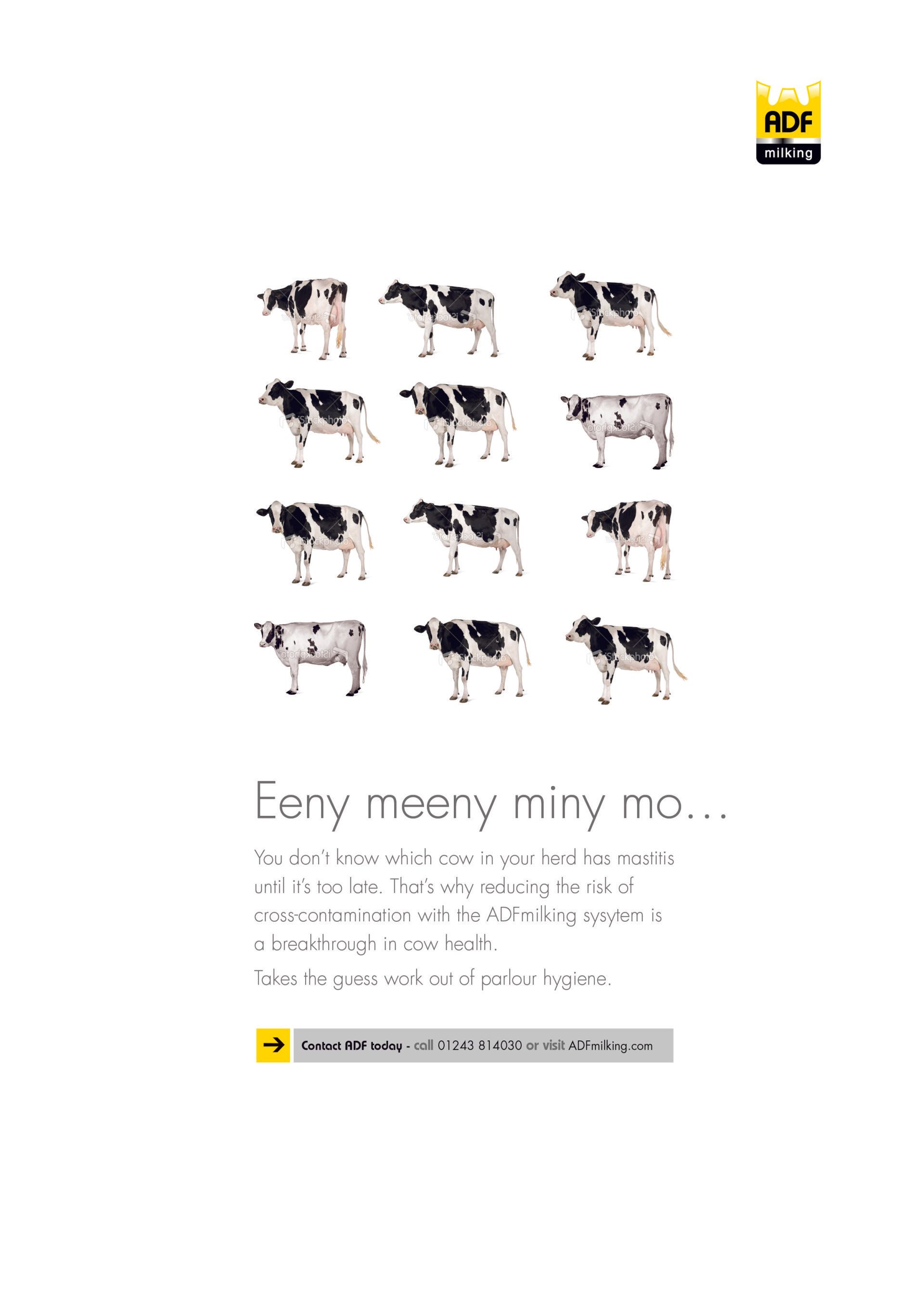 An advert concept that has nine cows on with a title that says Eeny meeny miny mo. You never know which cow has mastitis.